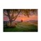 Stupell Industries Bold Sunrise in Countryside Canvas Wall Art Design by Marty Hulsebos